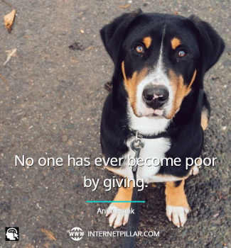 famous-rescue-dogs-quotes