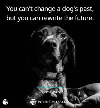 great-rescue-dogs-quotes