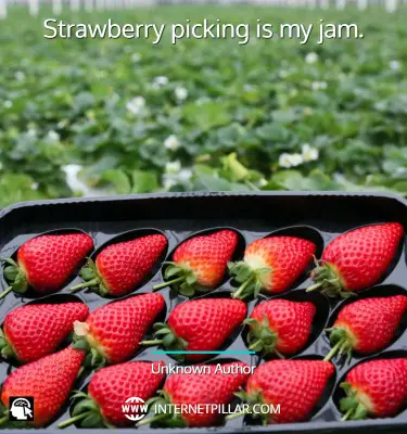 great-strawberry-captions