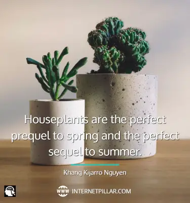 houseplant-quotes