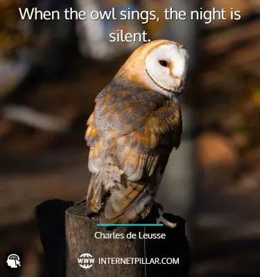 inspirational-owl-quotes
