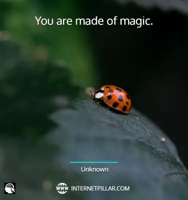 inspiring-ladybug-quotes