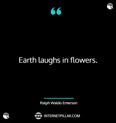 inspiring-plant-love-quotes