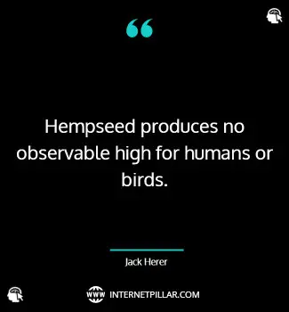jack-herer-quotes
