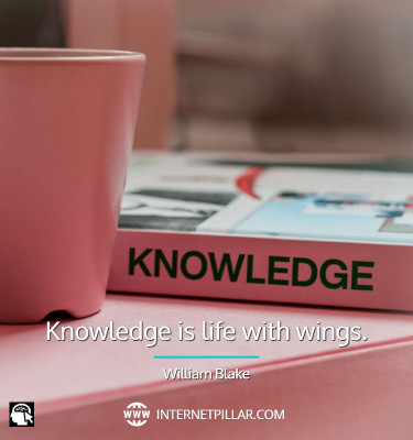 knowledge-quotes