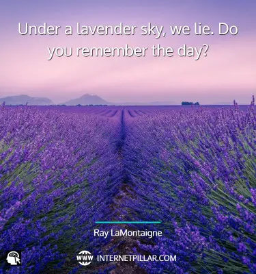 lavender-quotes