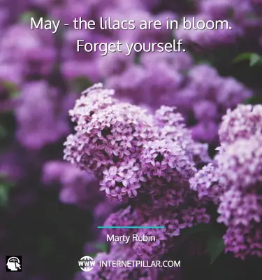 lilac-quotes