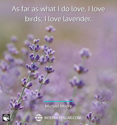 lovely-lavender-quotes