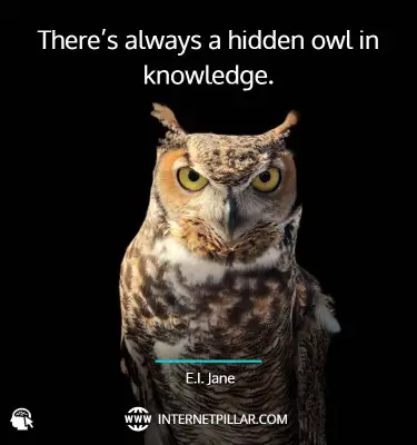 lovely-owl-quotes