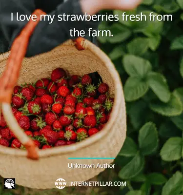lovely-strawberry-quotes