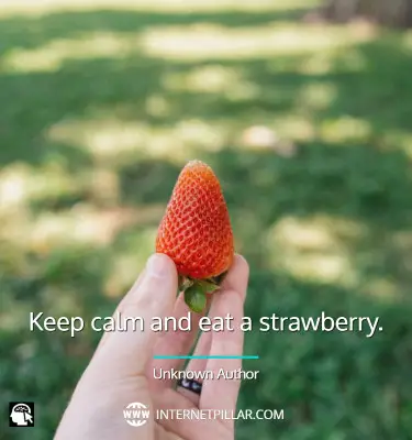 motivational-strawberry-captions