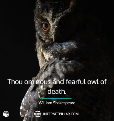 quotes-about-owl