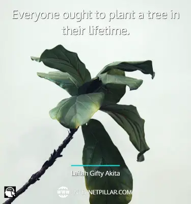 plant-love-quotes
