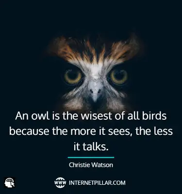 popular-owl-quotes