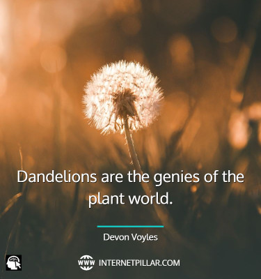 popular-plant-love-quotes