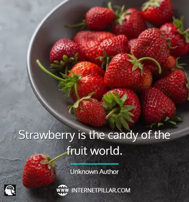 popular-strawberry-quotes