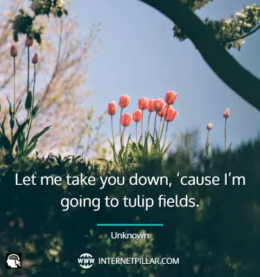 popular-tulip-quotes