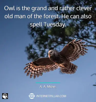 powerful-owl-quotes