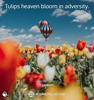 powerful-tulip-quotes