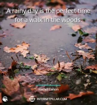 profound-rainy-day-quotes