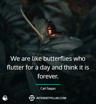 quotes-about-butterfly-effect