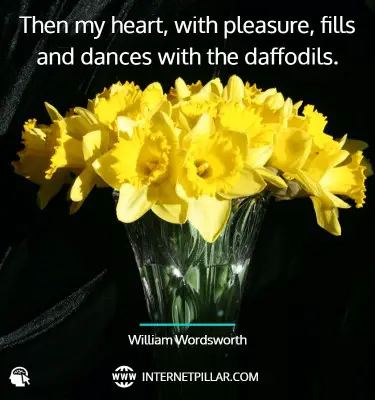 quotes-about-daffodil