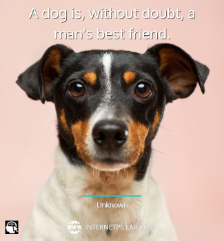 quotes-about-rescue-dogs