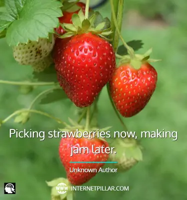 quotes-about-strawberry