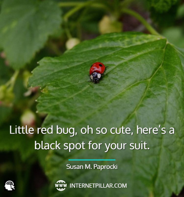quotes-on-ladybug