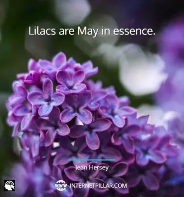 quotes-on-lilac