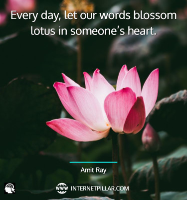 quotes-on-lotus-flower