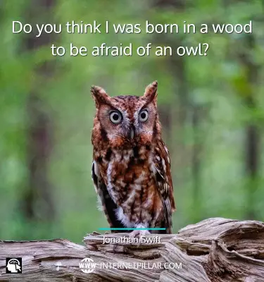 quotes-on-owl