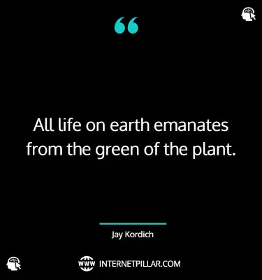 quotes-on-plant-love