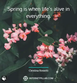 quotes-on-spring
