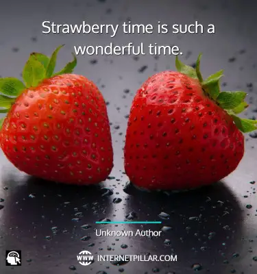 top-strawberry-quotes