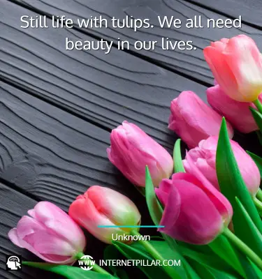 tulip-quotes