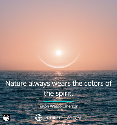 wise-nature-quotes