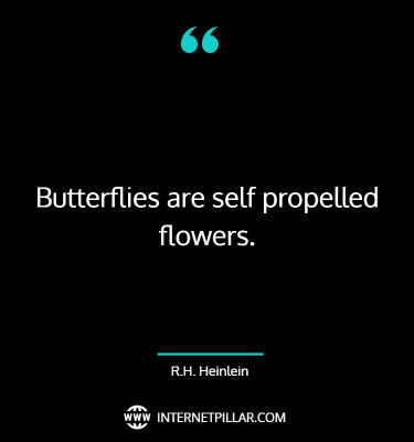 best-butterfly-effect-quotes-sayings