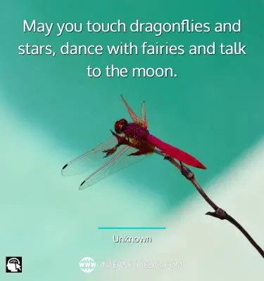 best-dragonfly-quotes