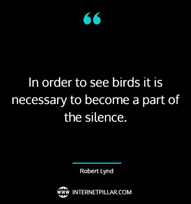 best-quotes-sayings-about-birds