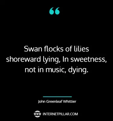 best-swan-quotes-sayings