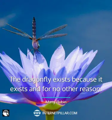 famous-dragonfly-quotes