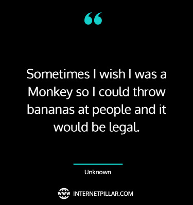 famous-monkey-quotes-sayings-captions