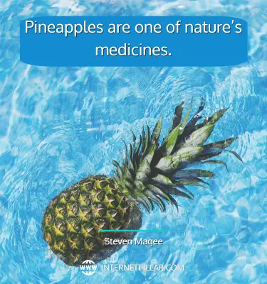 inspirational-pineapple-quotes