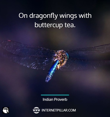 popular-dragonfly-quotes