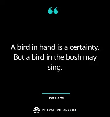popular-quotes-sayings-about-birds