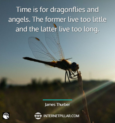 quotes-about-dragonfly