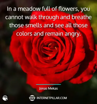 smell-the-roses-quotes-sayings