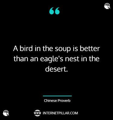 top-eagle-quotes-sayings