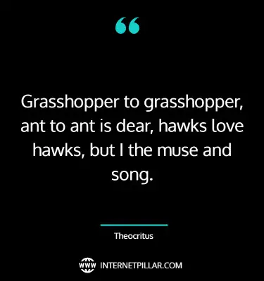 top-grasshopper-quotes-sayings